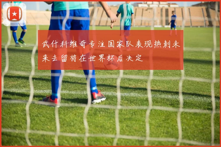 武什科维奇专注国家队表现热刺未来去留将在世界杯后决定